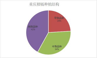 柑橘市場調研 重慶柑橘的輝煌歷史、效益困境與崛起之路