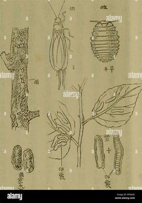 黑河網(wǎng)絡游戲怎么掙錢