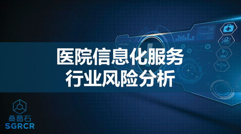 醫(yī)院信息化服務(wù)行業(yè)風(fēng)險分析