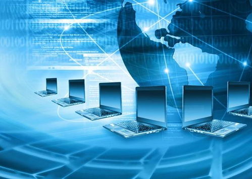 計算機網(wǎng)絡的組成與功能及數(shù)據(jù)處理存儲服務